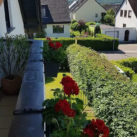 Fewosa Trier-tarforst Трир