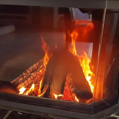 Fewosa Trier-tarforst *