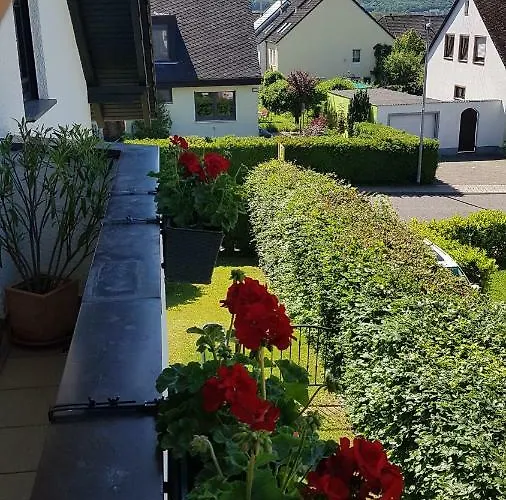 Fewosa Trier-tarforst טרייר